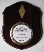 ARI maraton 2013